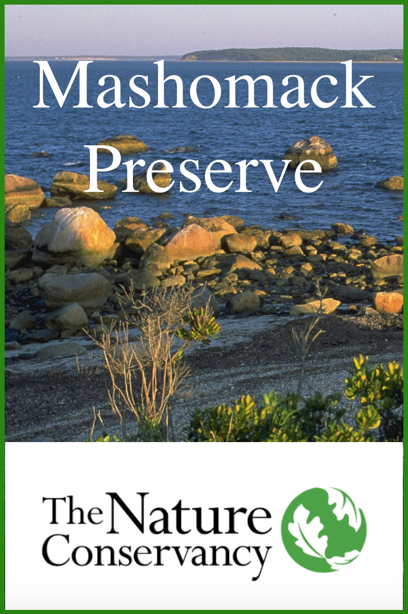 Mashomack Preserve vertical business card.