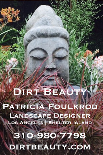 Dirt Beauty business listing